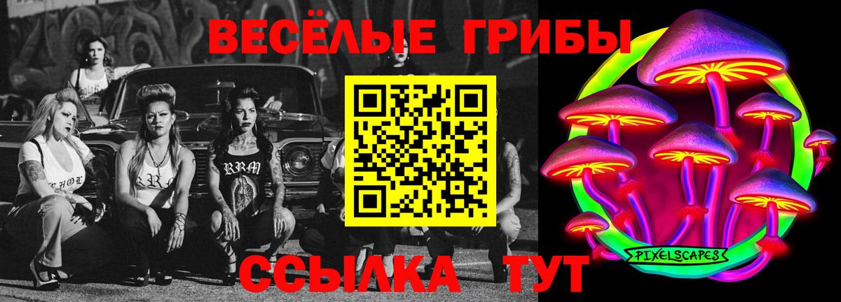 Галлюциногенные грибы Magic Shrooms Тутаев